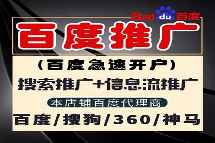 百度推广成功案例：打造行业领军品牌之路